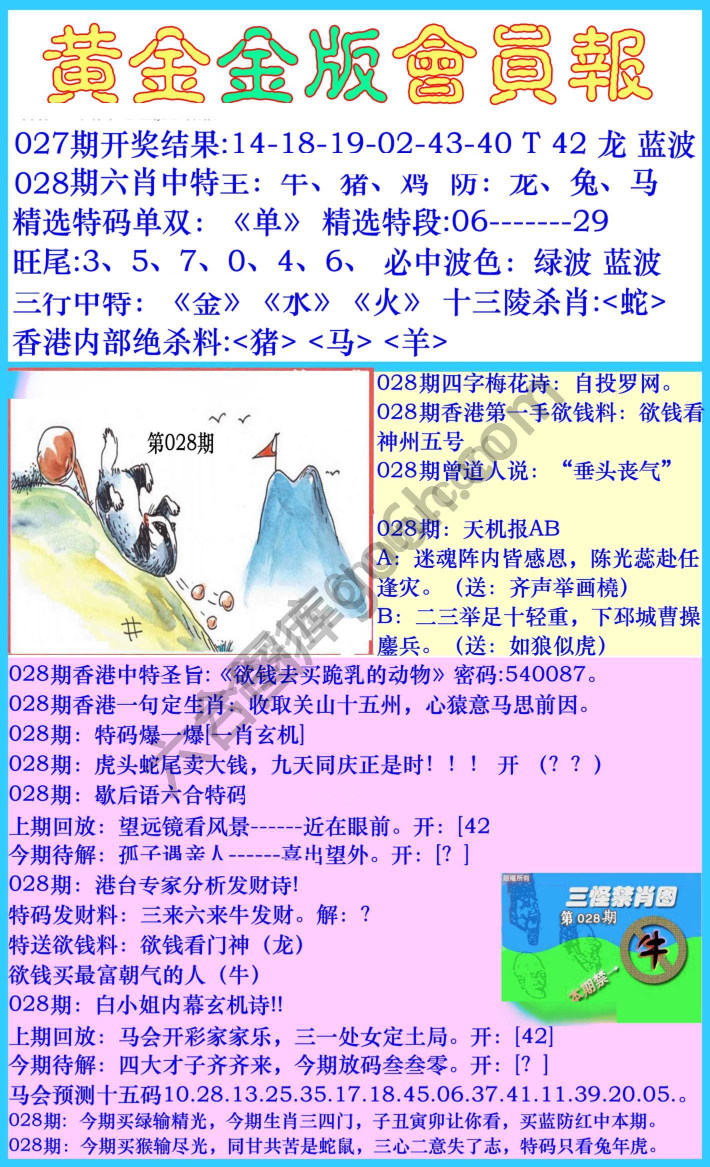 黄金金版会员报