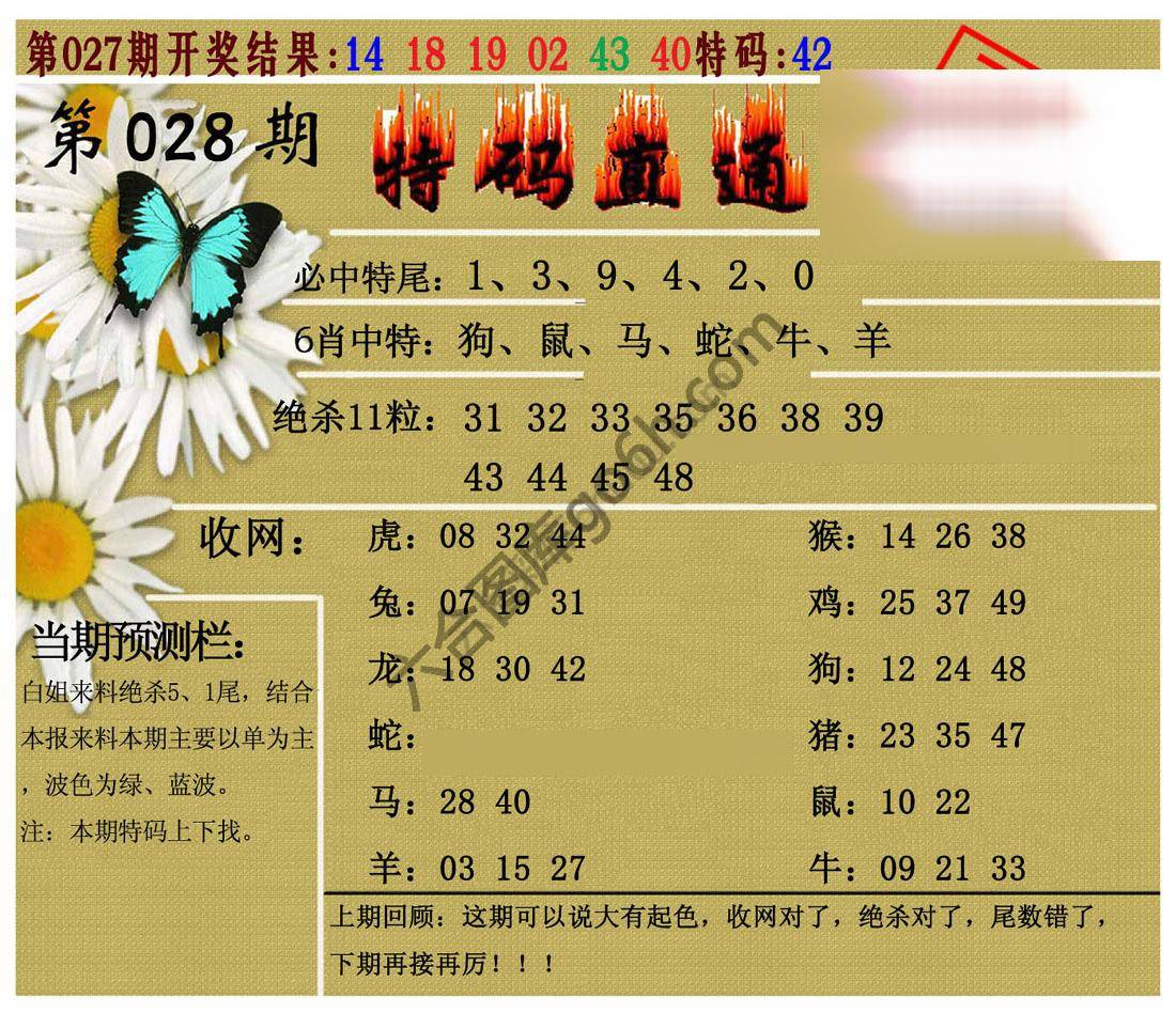 特码直通车