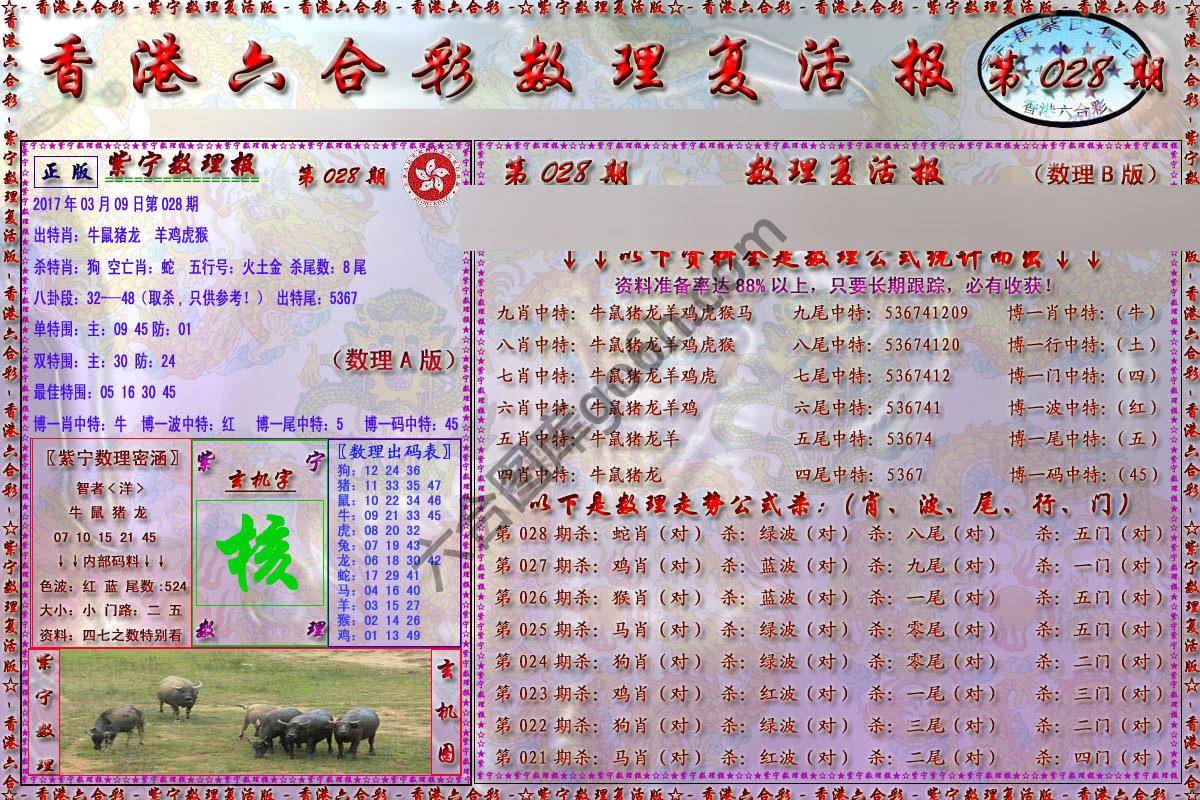 数理复活报