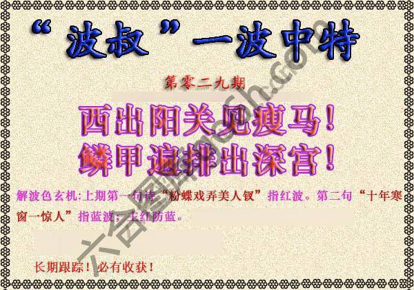 波叔一波中特