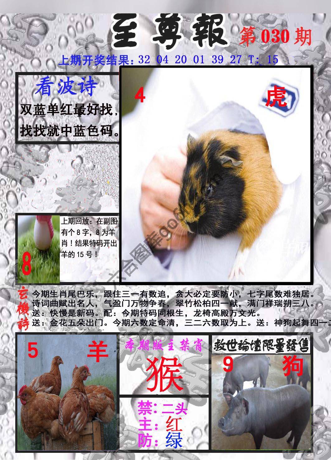 至尊报