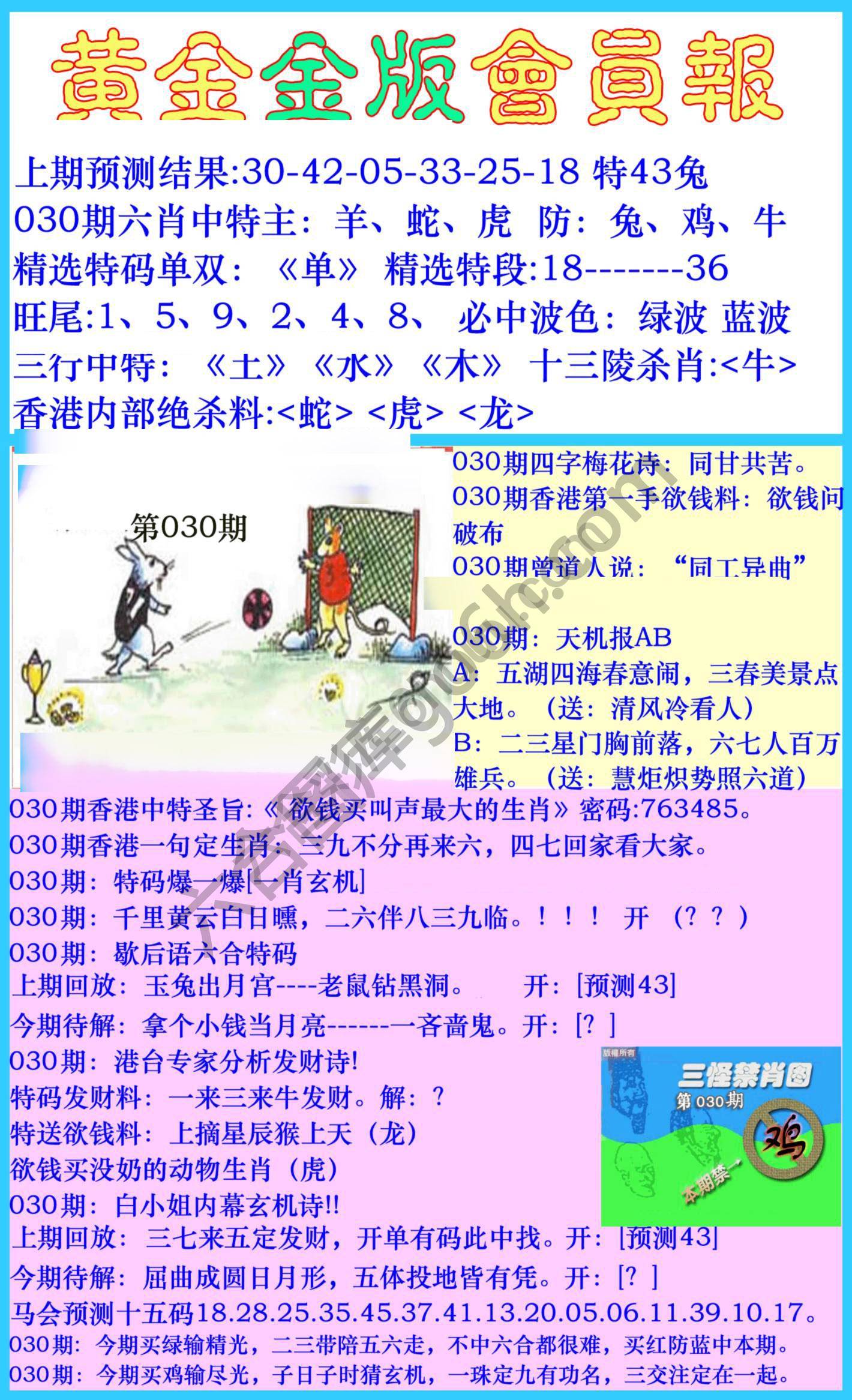 黄金金版会员报