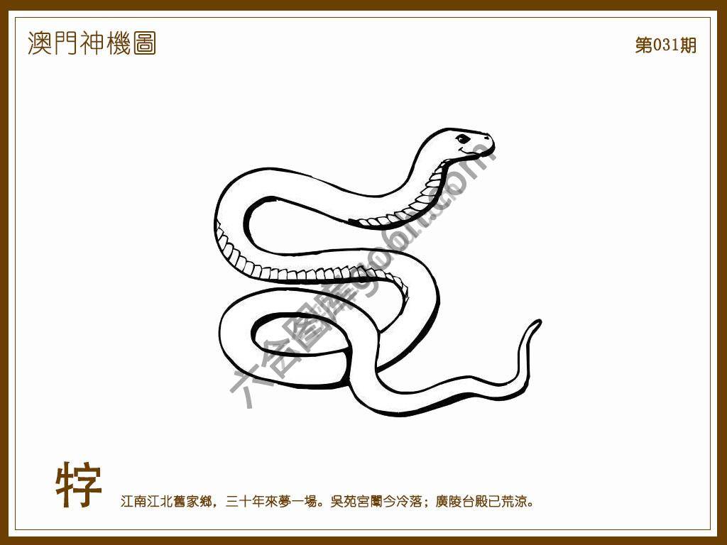 澳门神机图