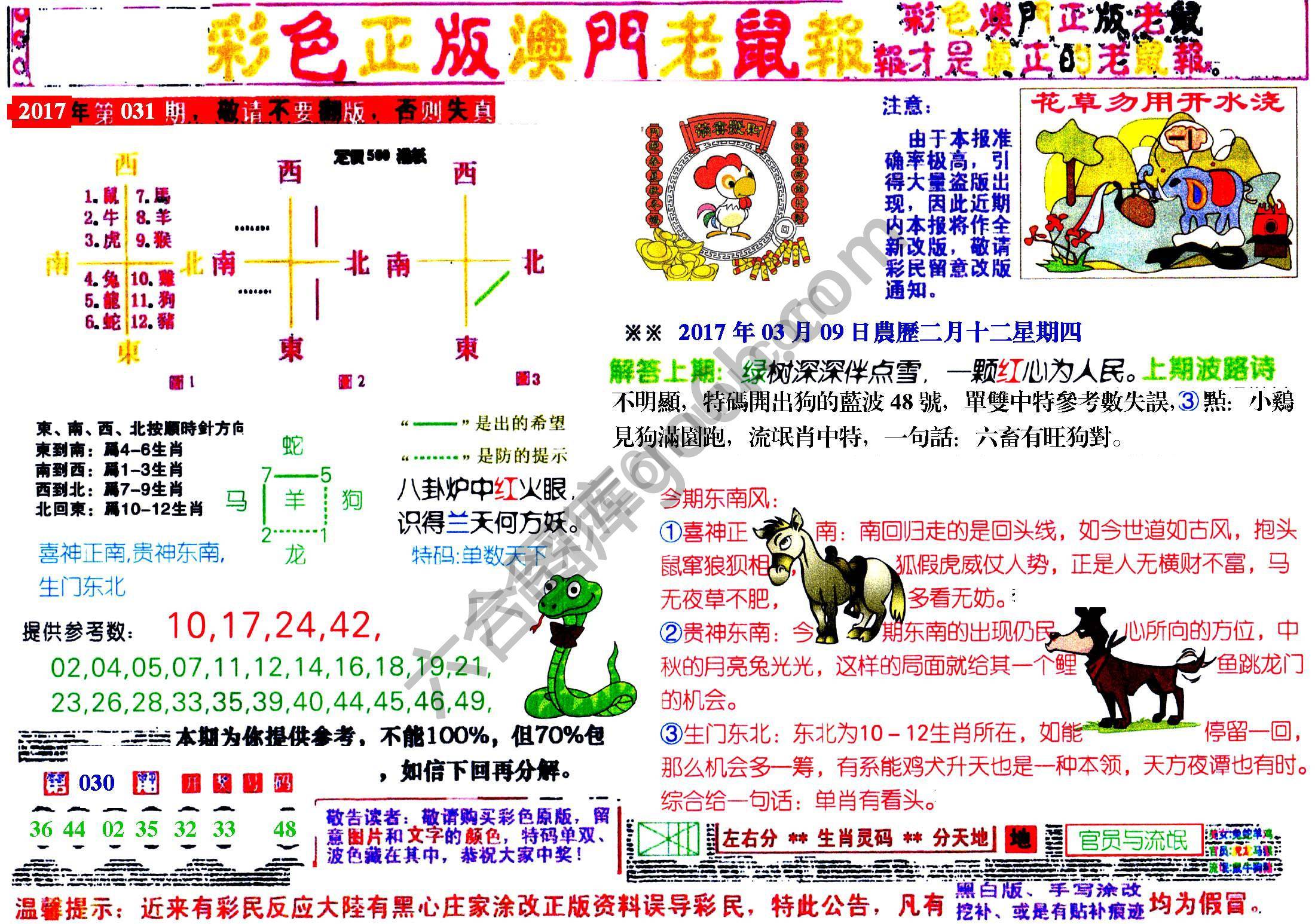 澳门老鼠报