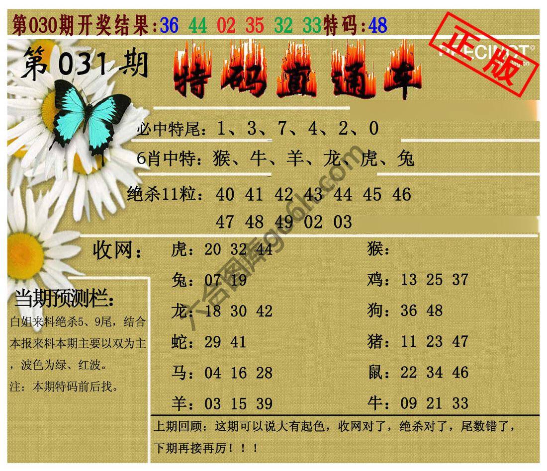 特码直通车