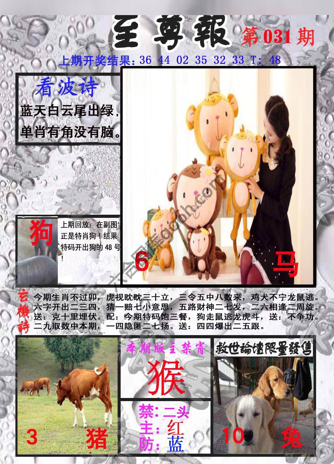 至尊报