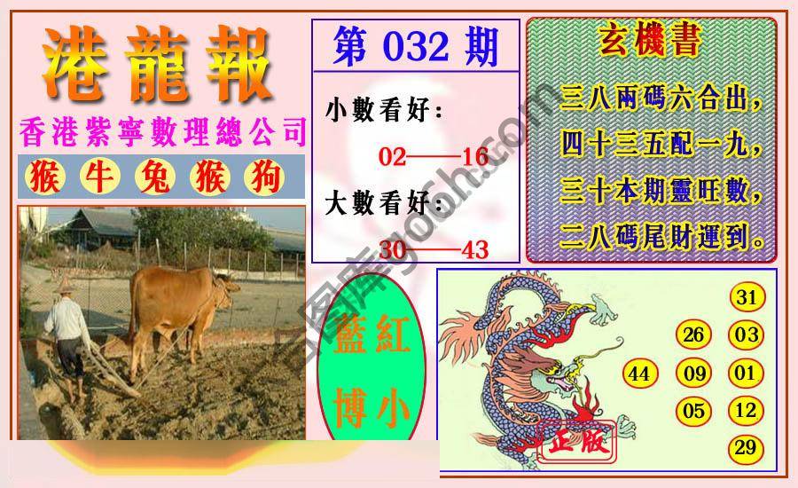 港龙报