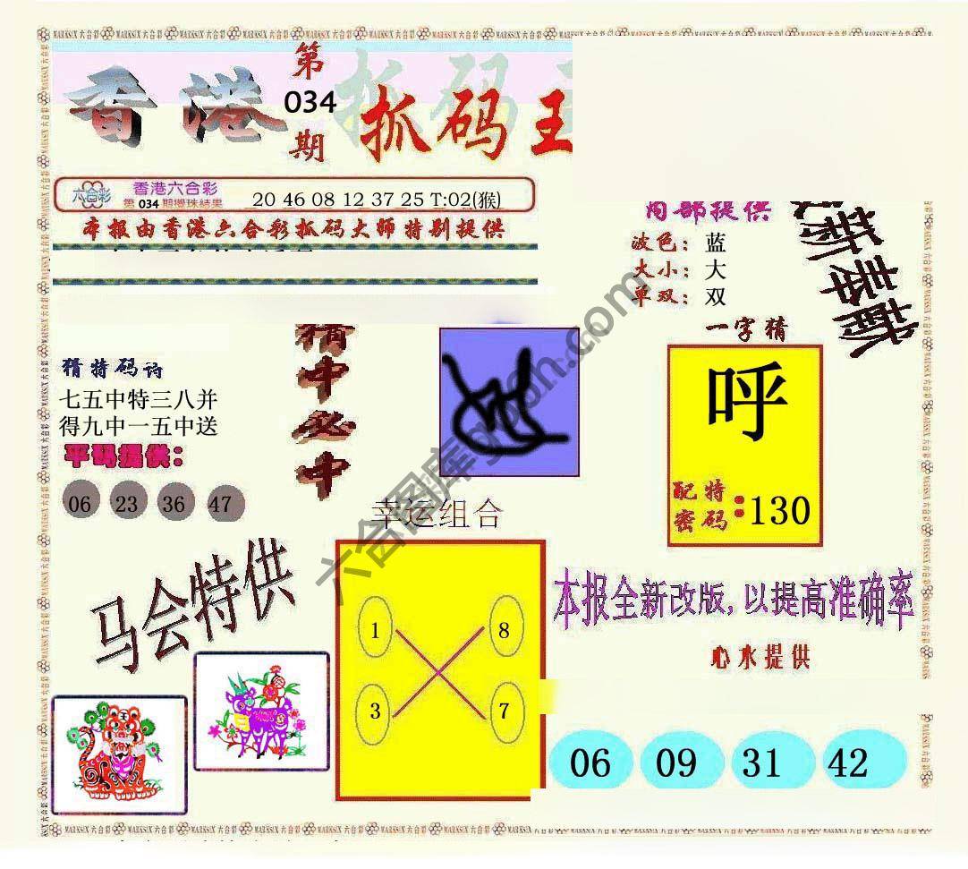 新抓码王
