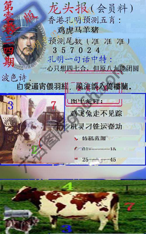 龙头报