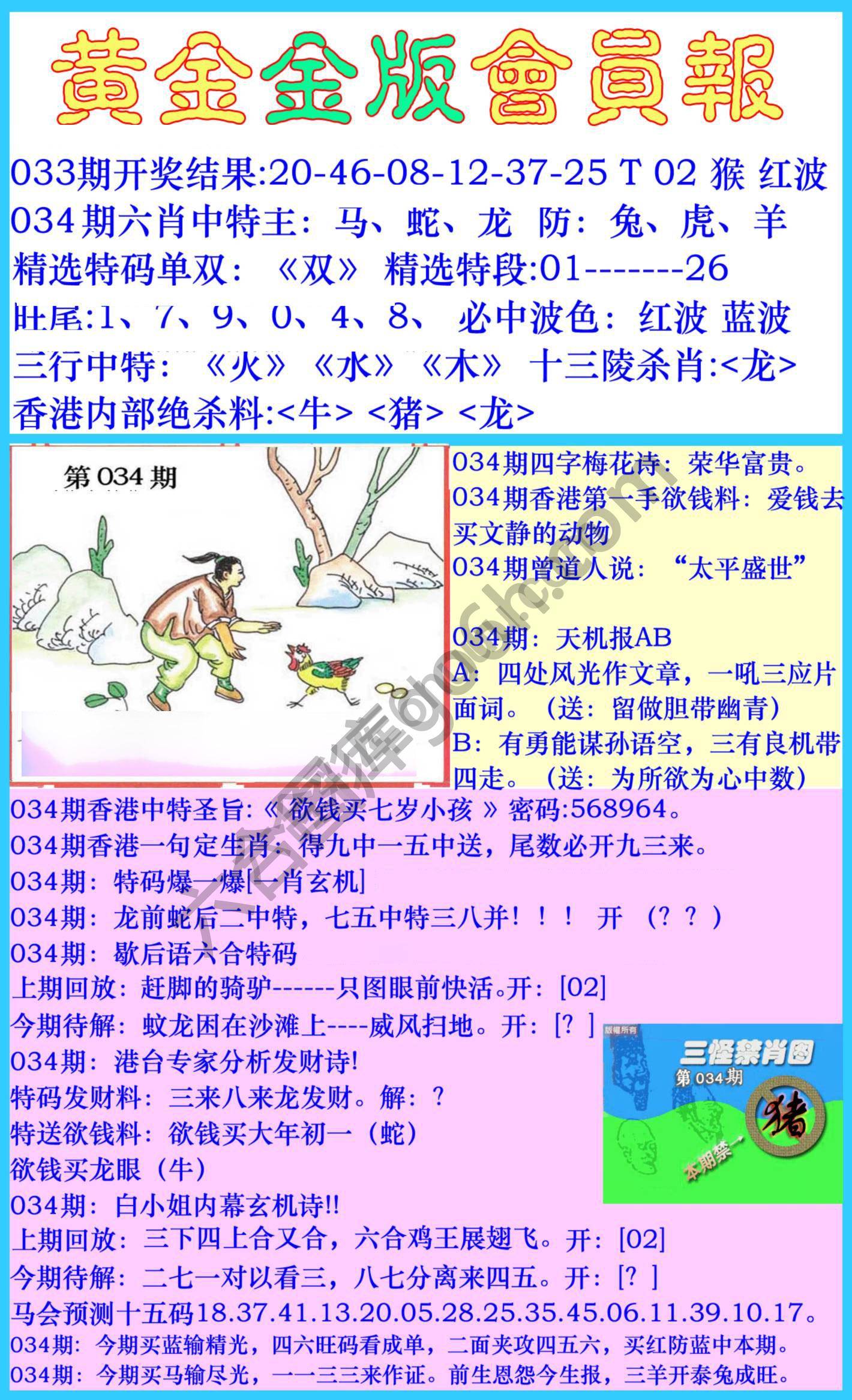 黄金金版会员报