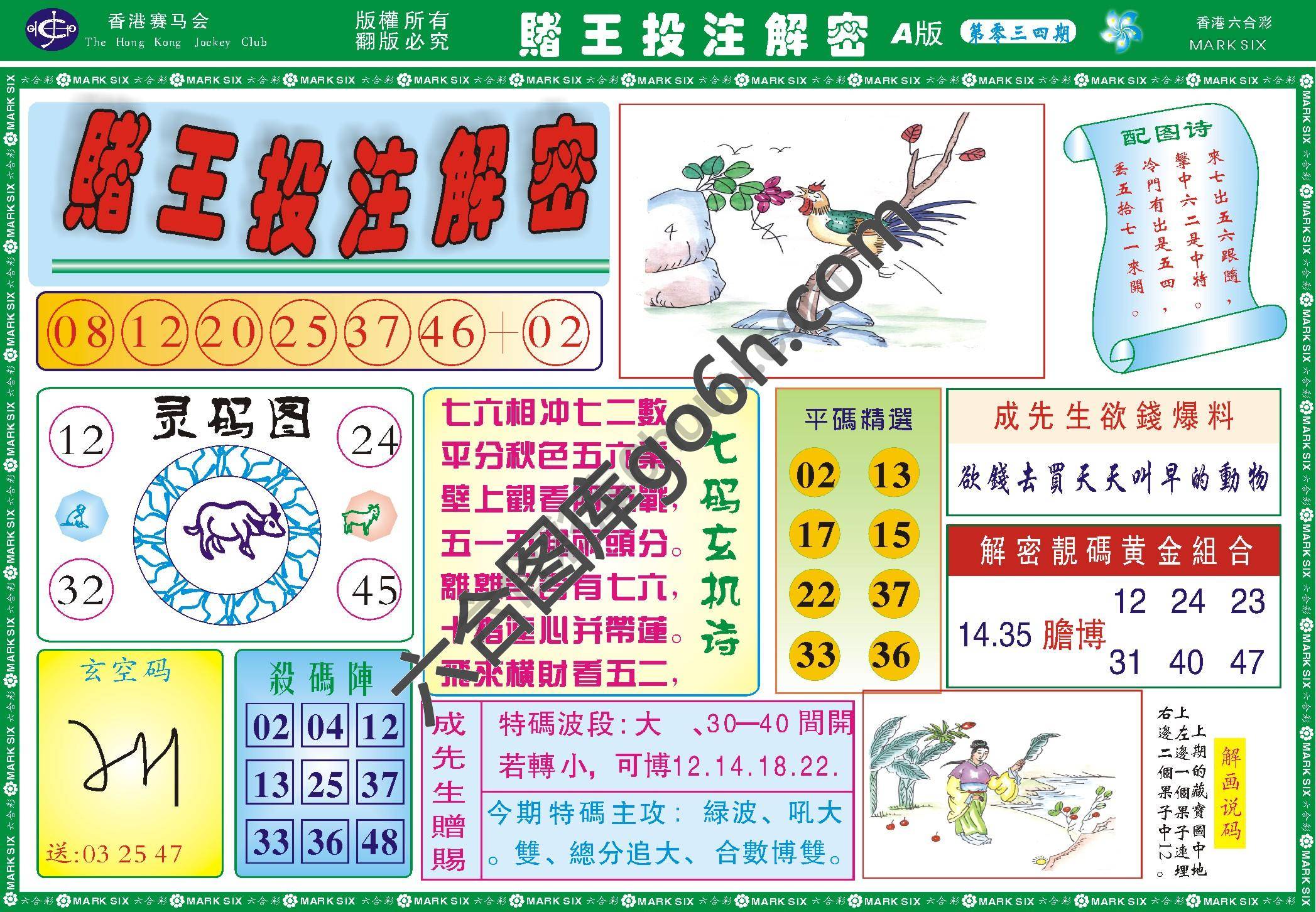 赌王投注解密