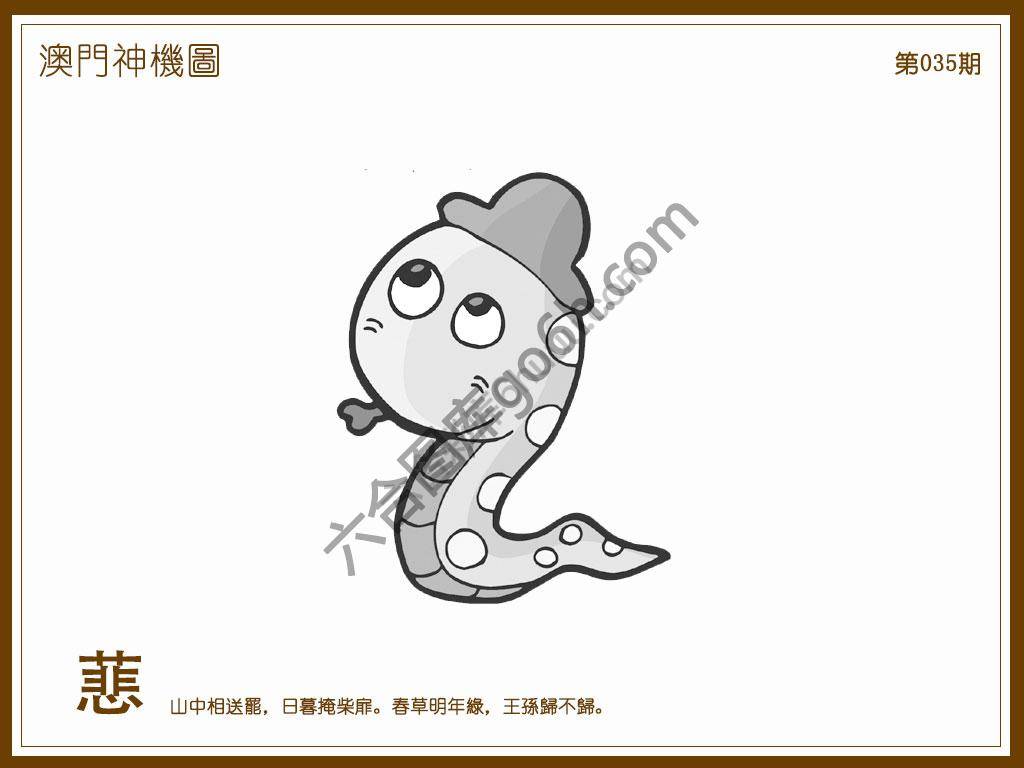 澳门神机图