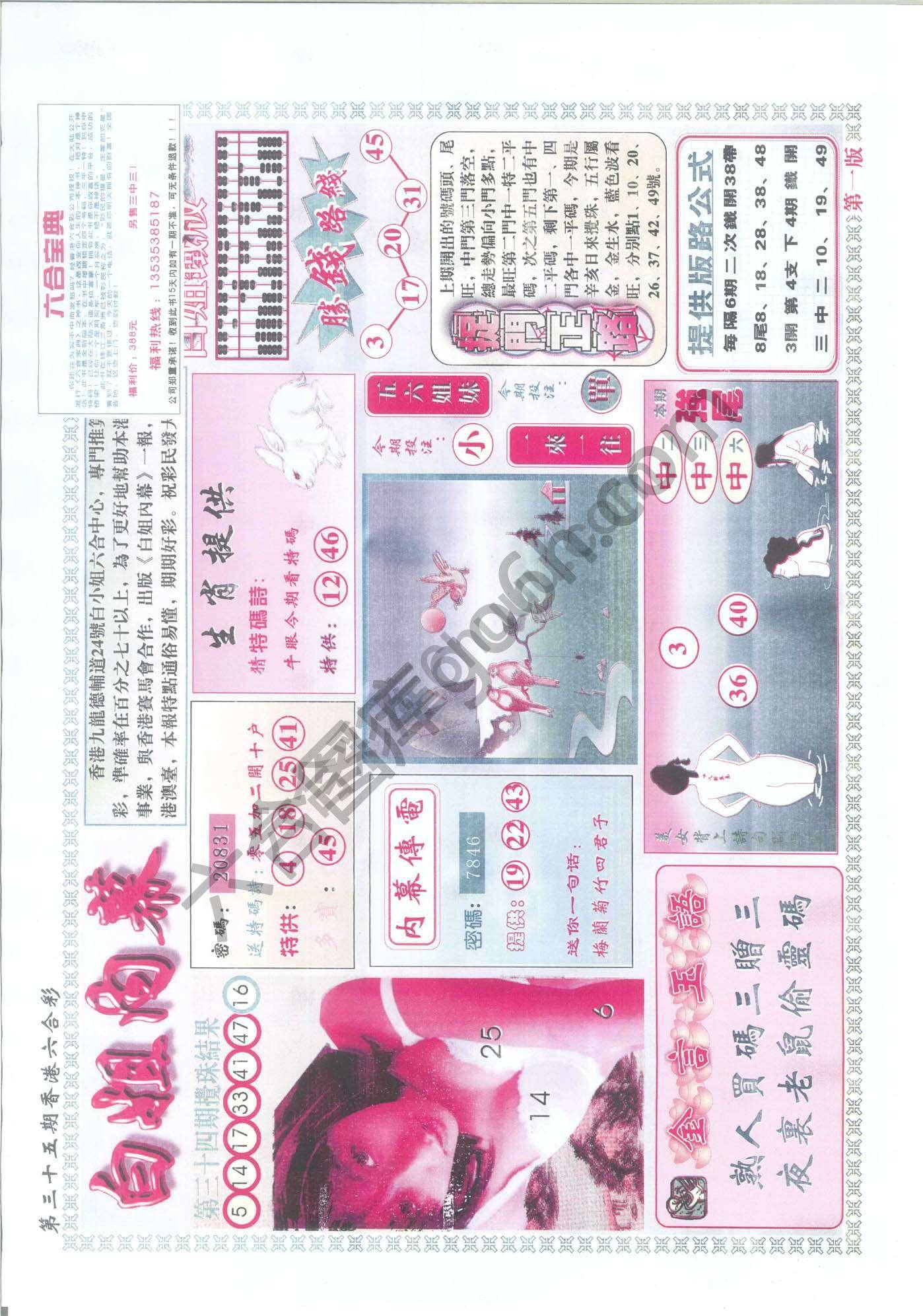 白姐内幕