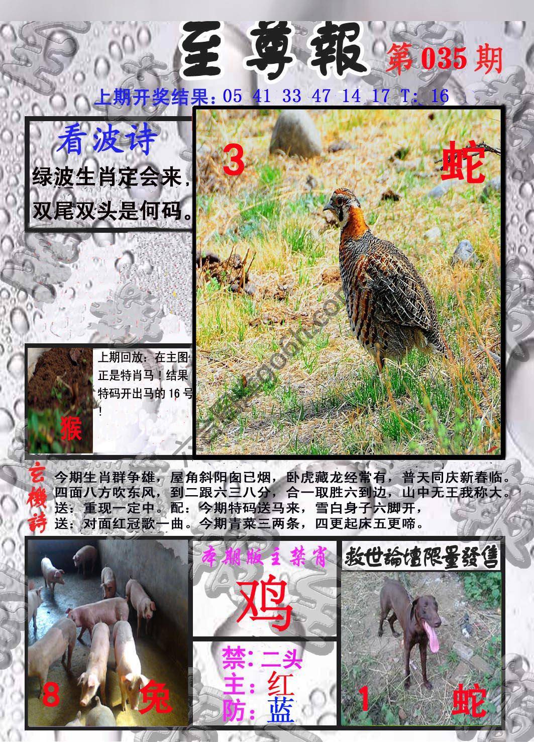 至尊报