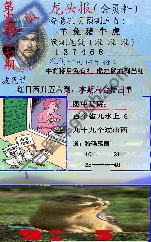 龙头报
