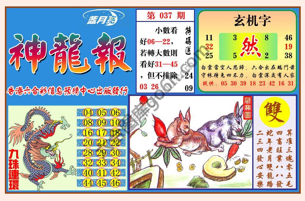 蓝月亮神龙报
