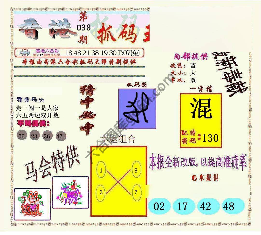新抓码王