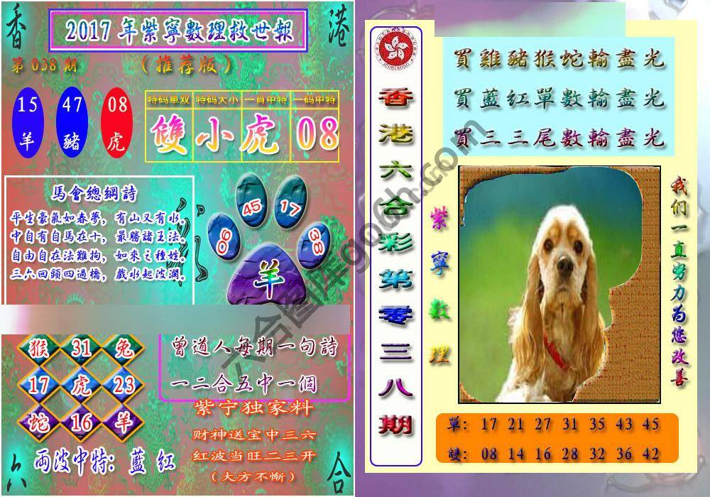 数理救世报