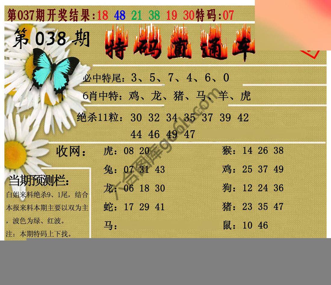 特码直通车