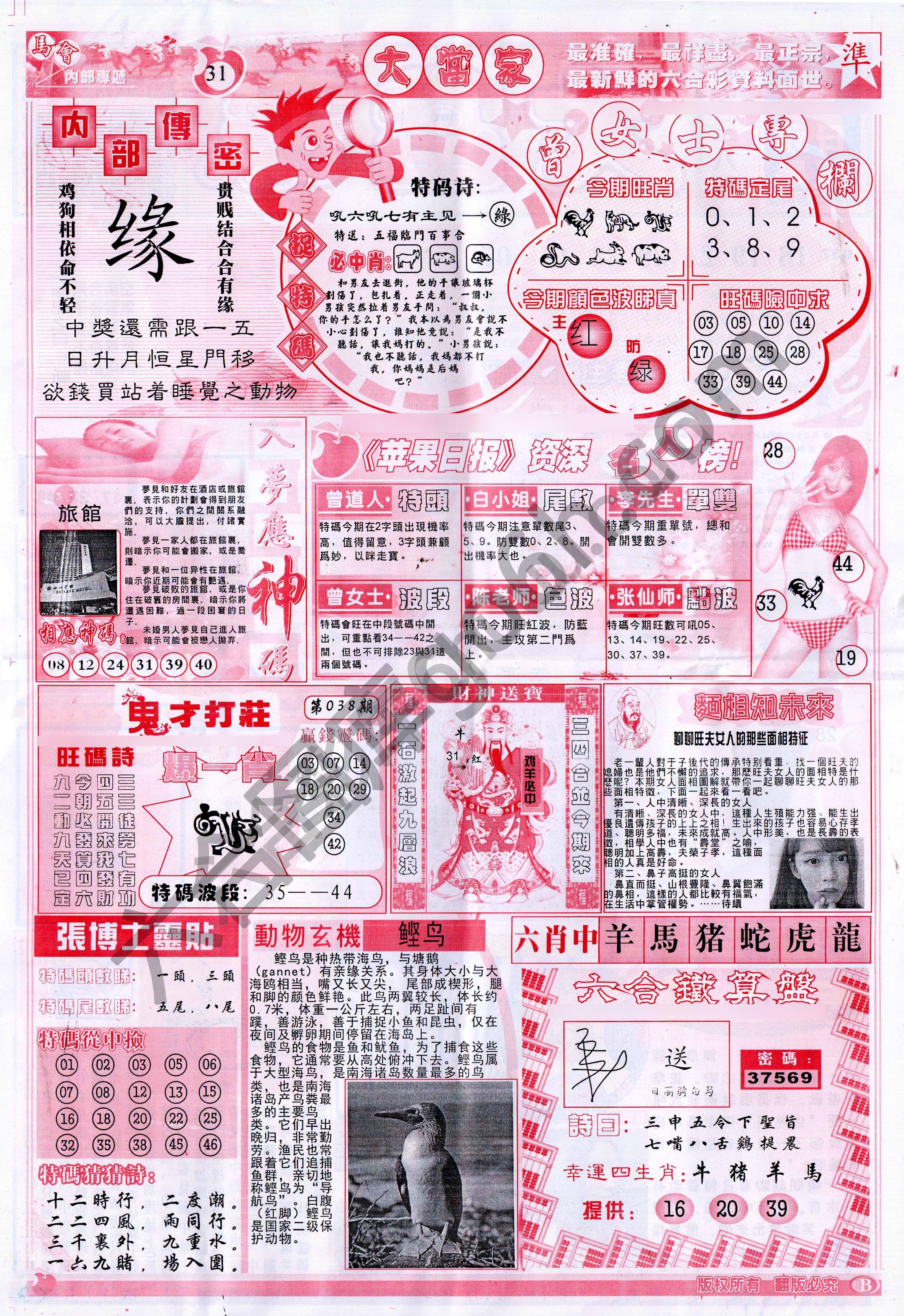 大当家