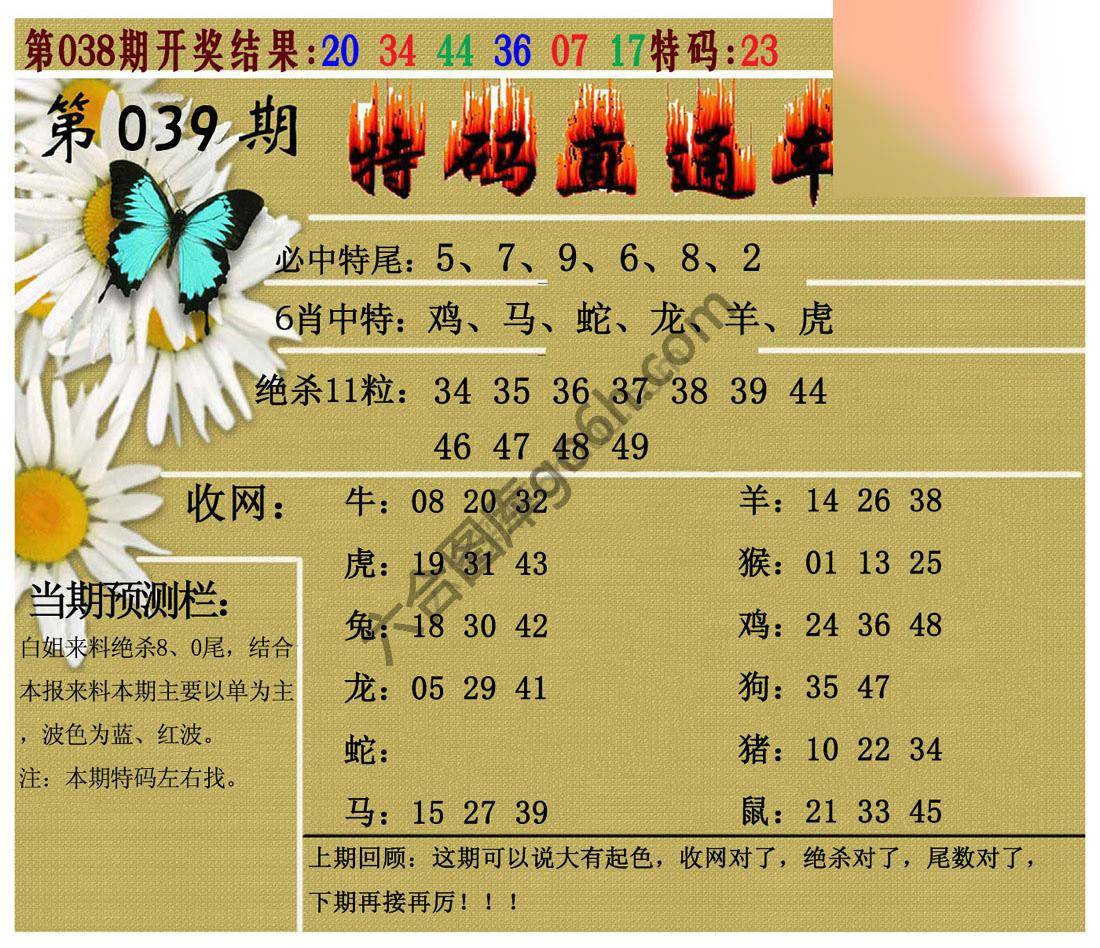 特码直通车