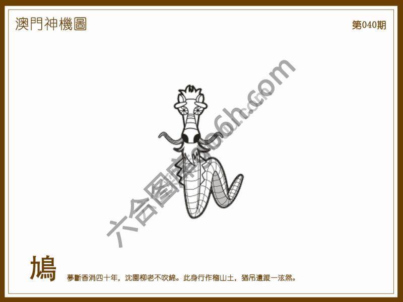 澳门神机图