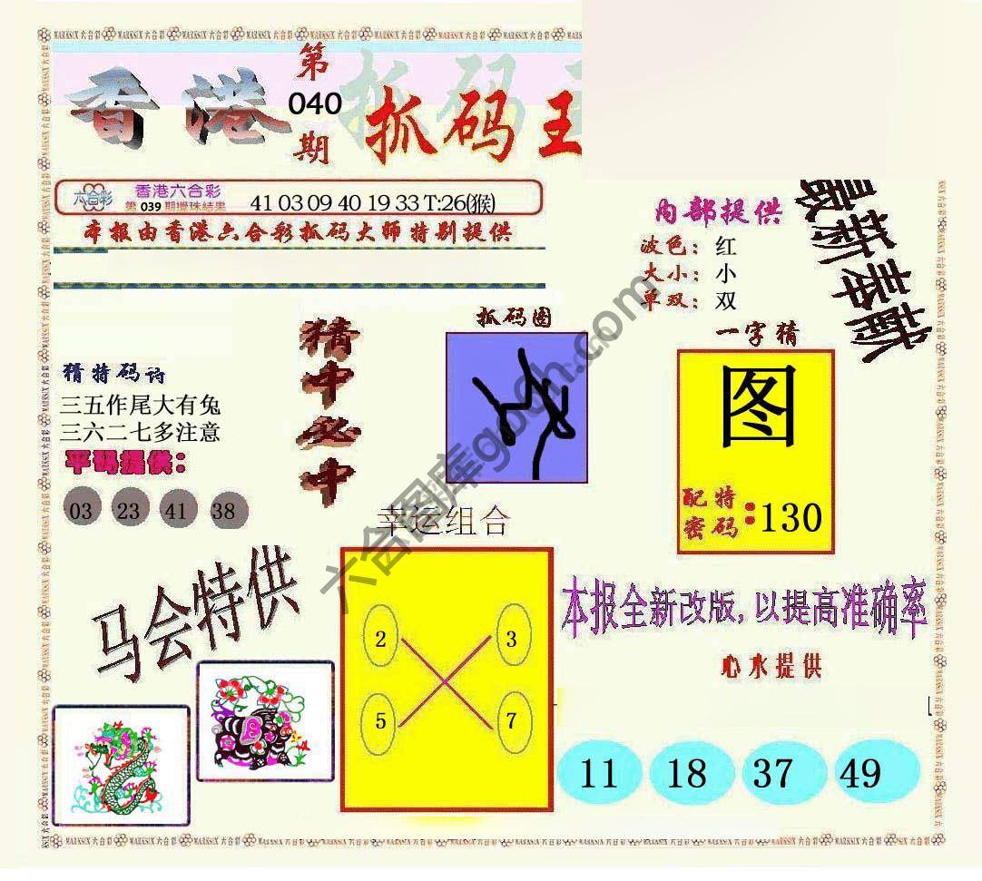 新抓码王