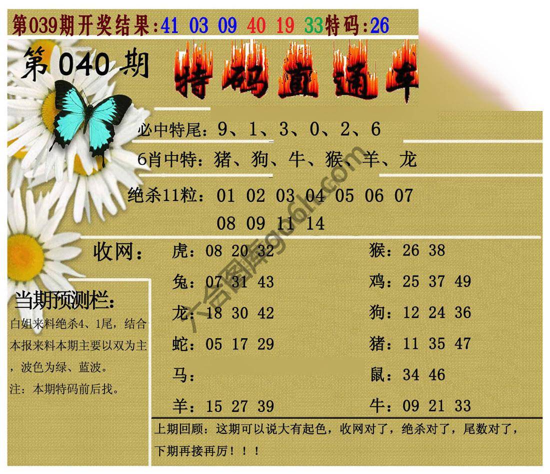 特码直通车
