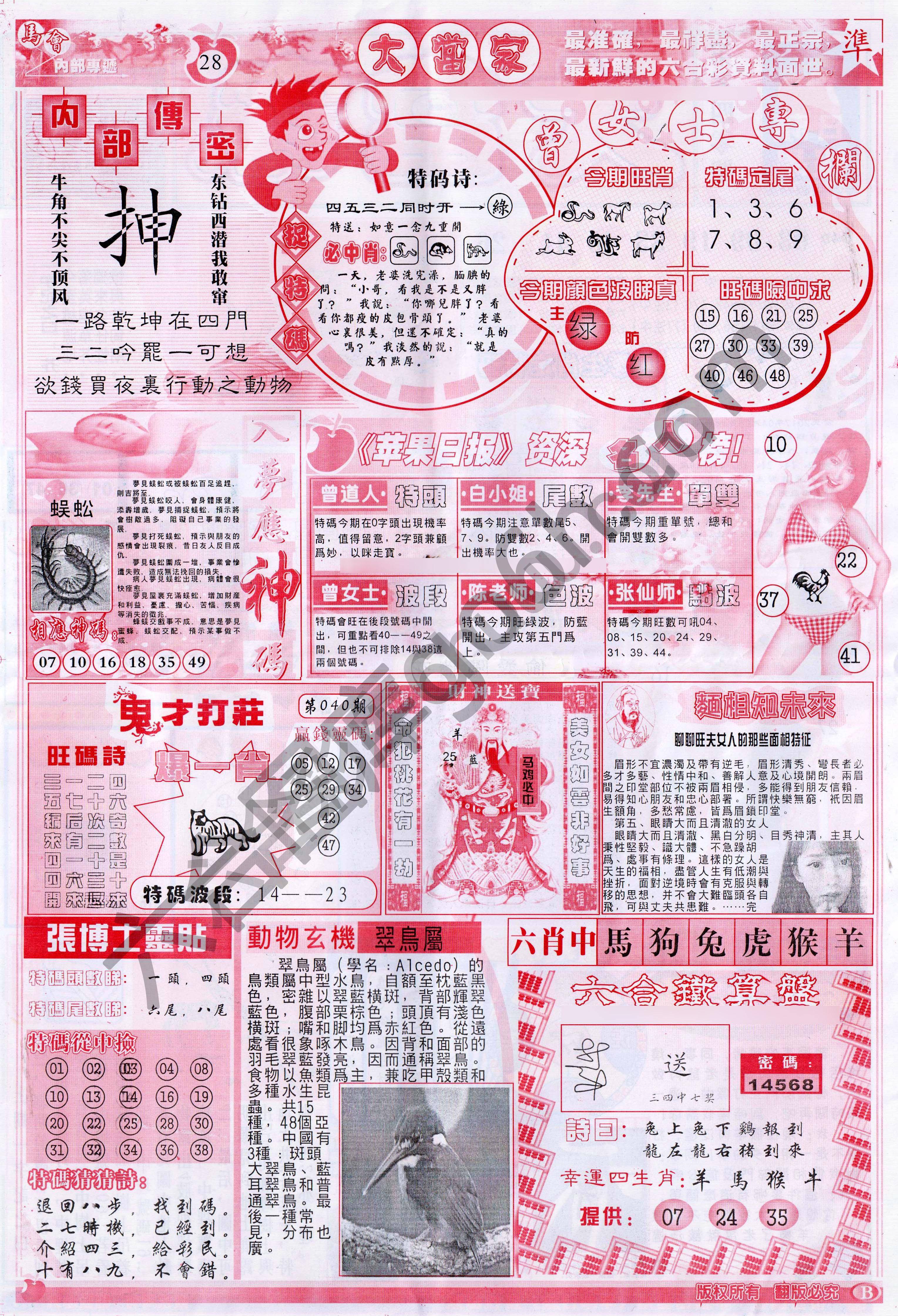 大当家