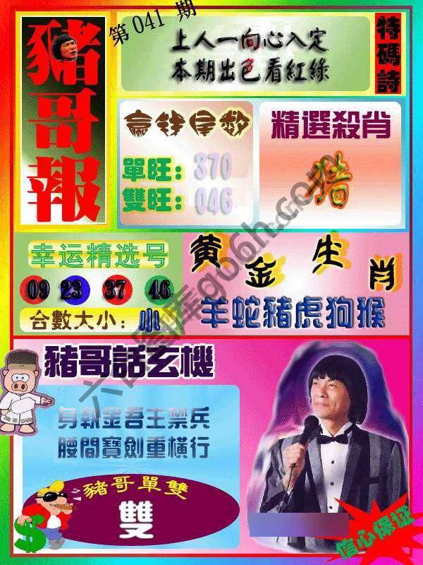 猪哥报