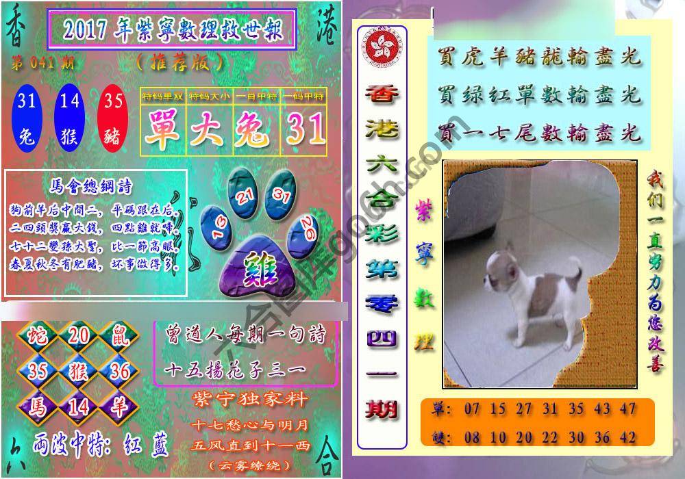 数理救世报