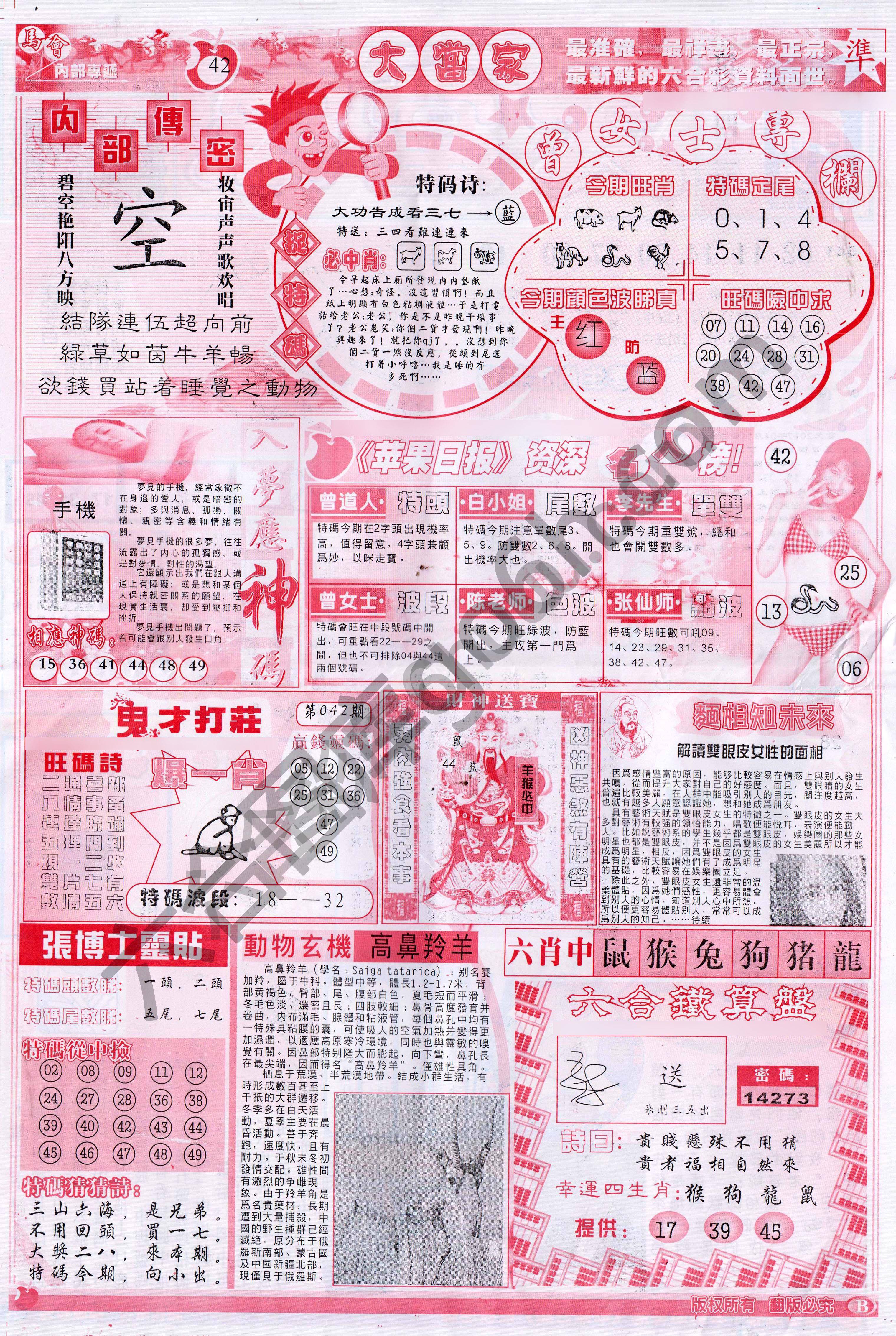 大当家