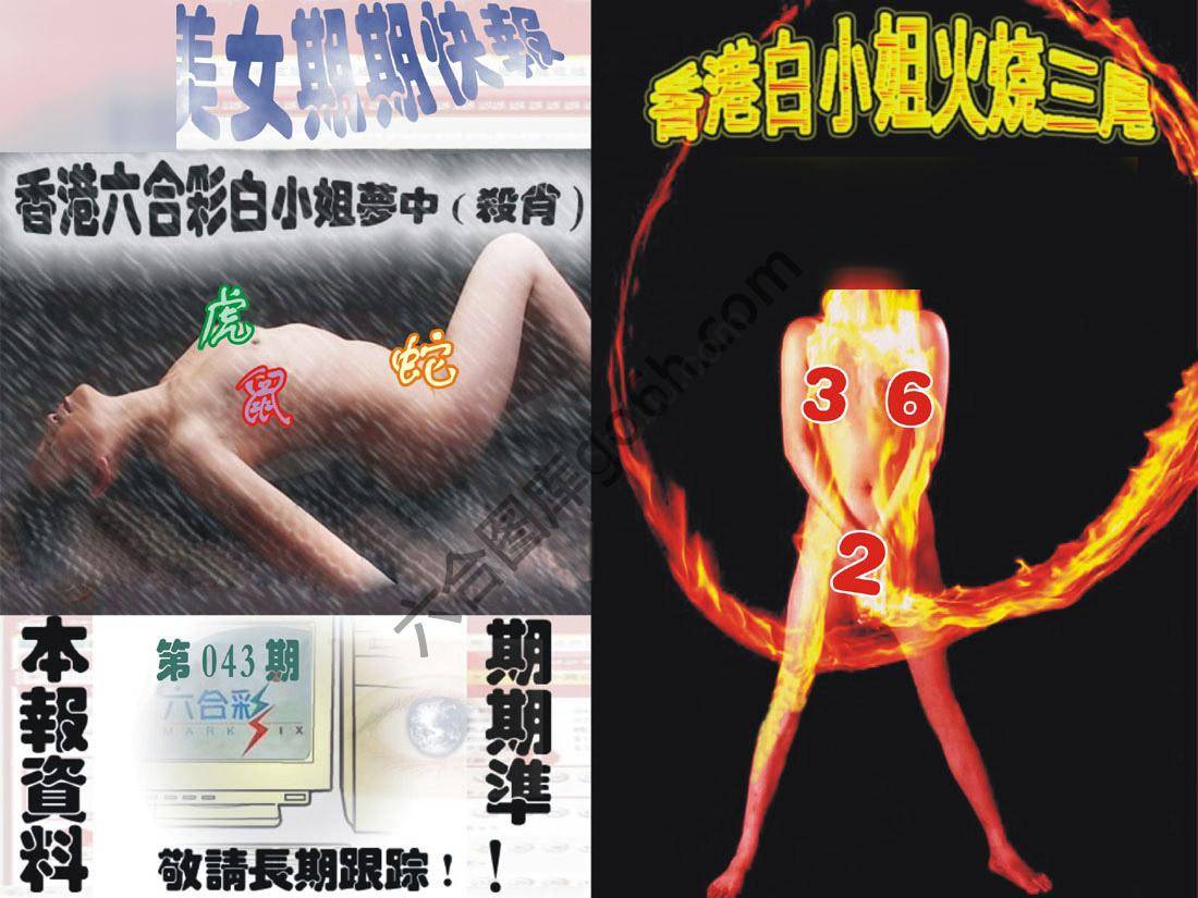环球美女特码报