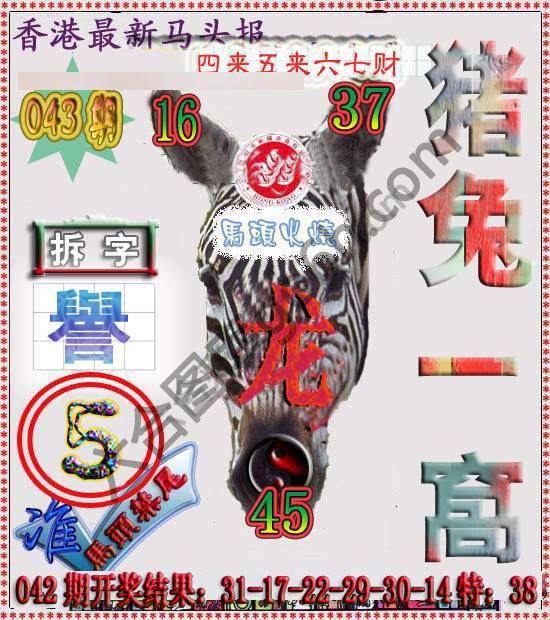 香港马头报