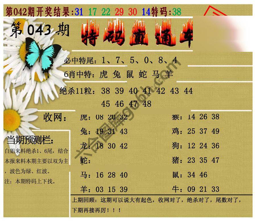 特码直通车