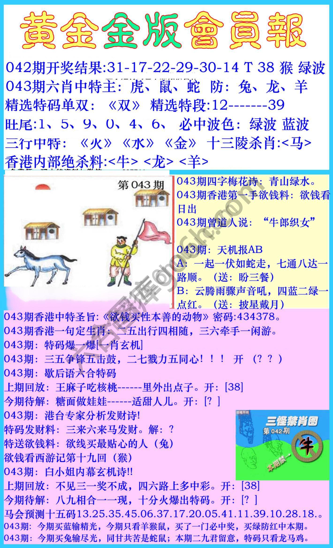 黄金金版会员报