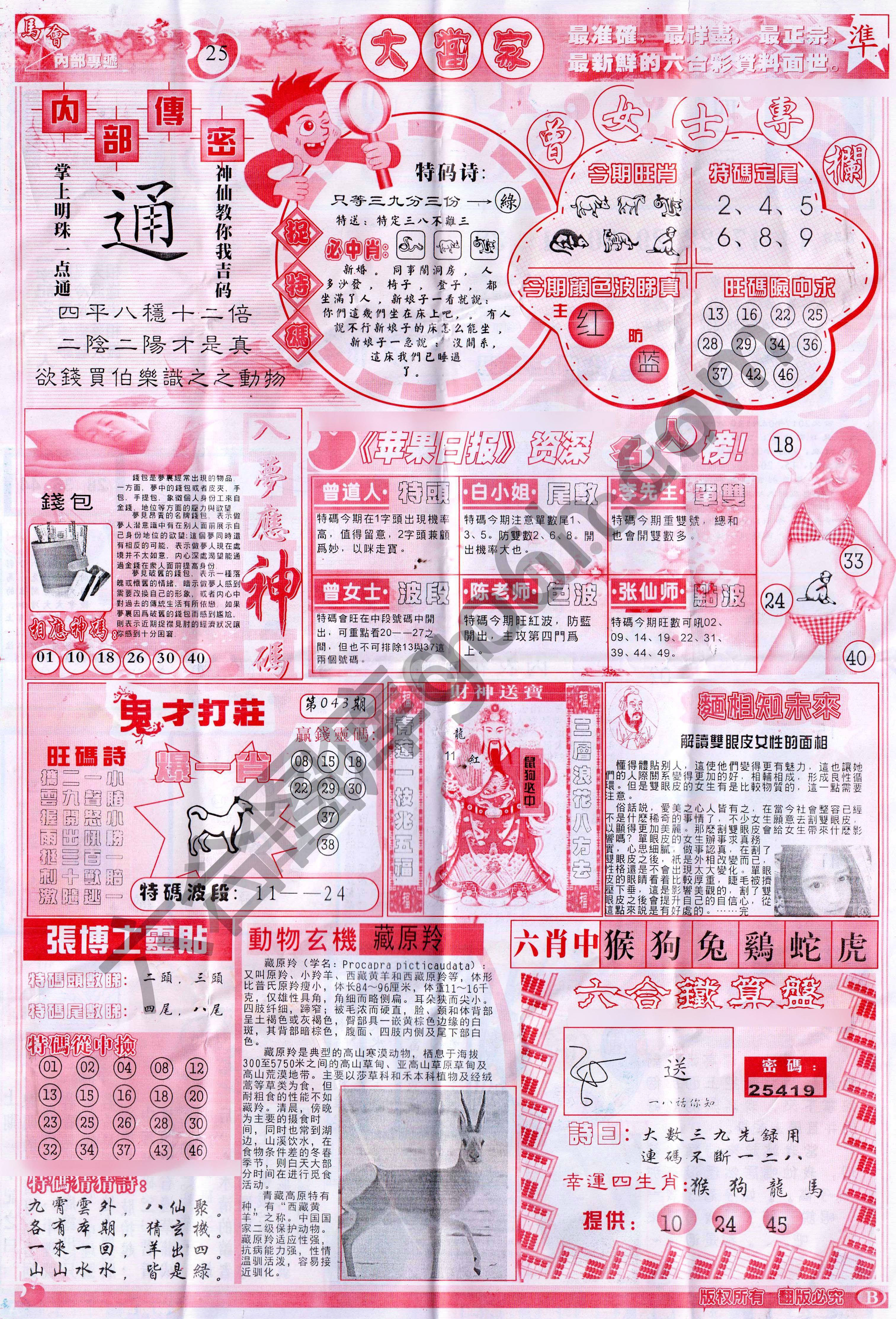 大当家