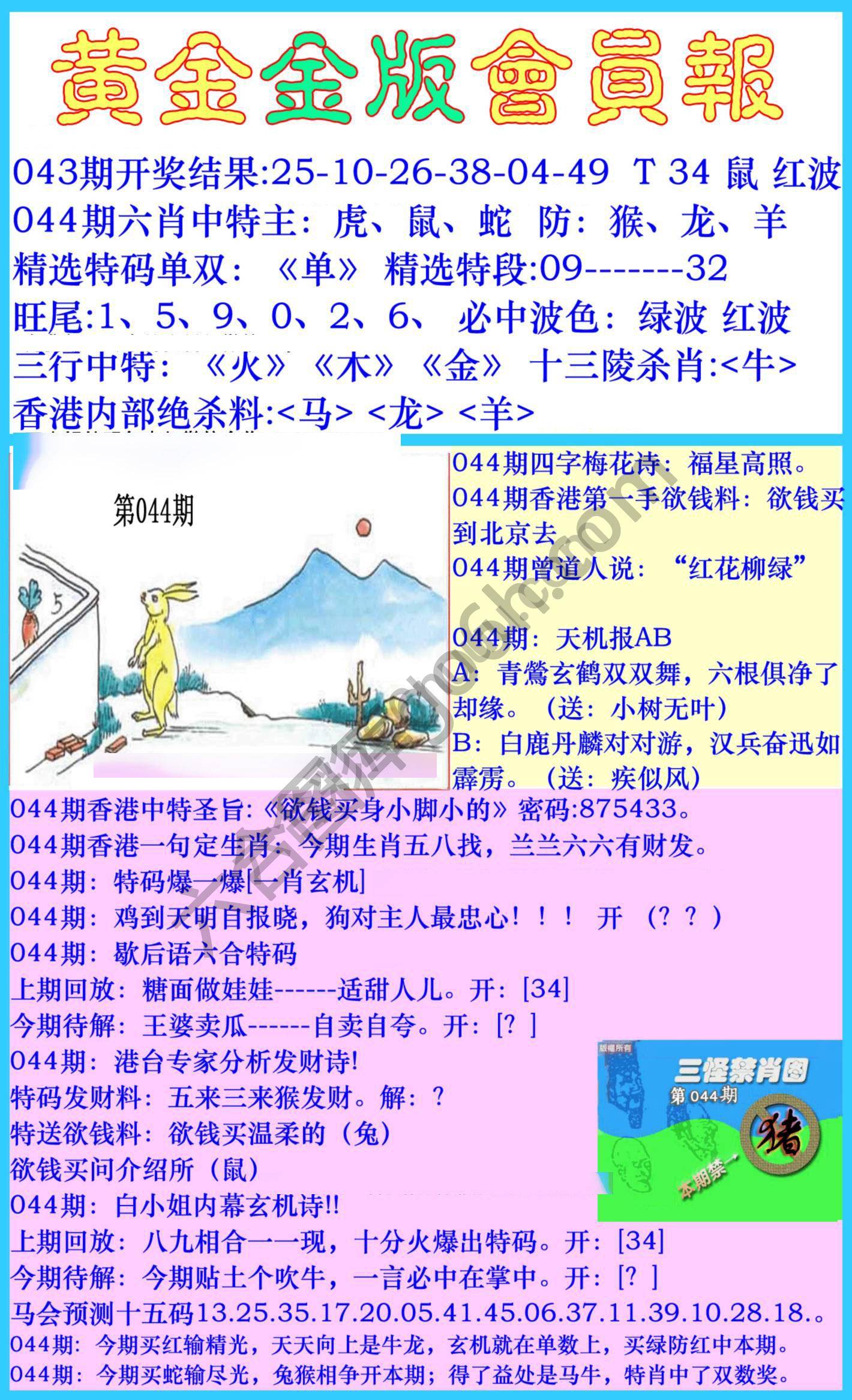 黄金金版会员报