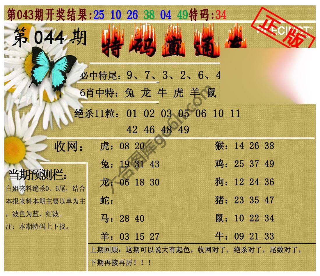 特码直通车