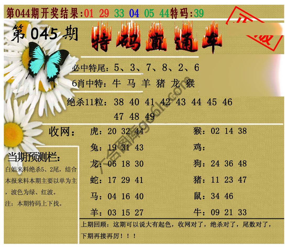 特码直通车