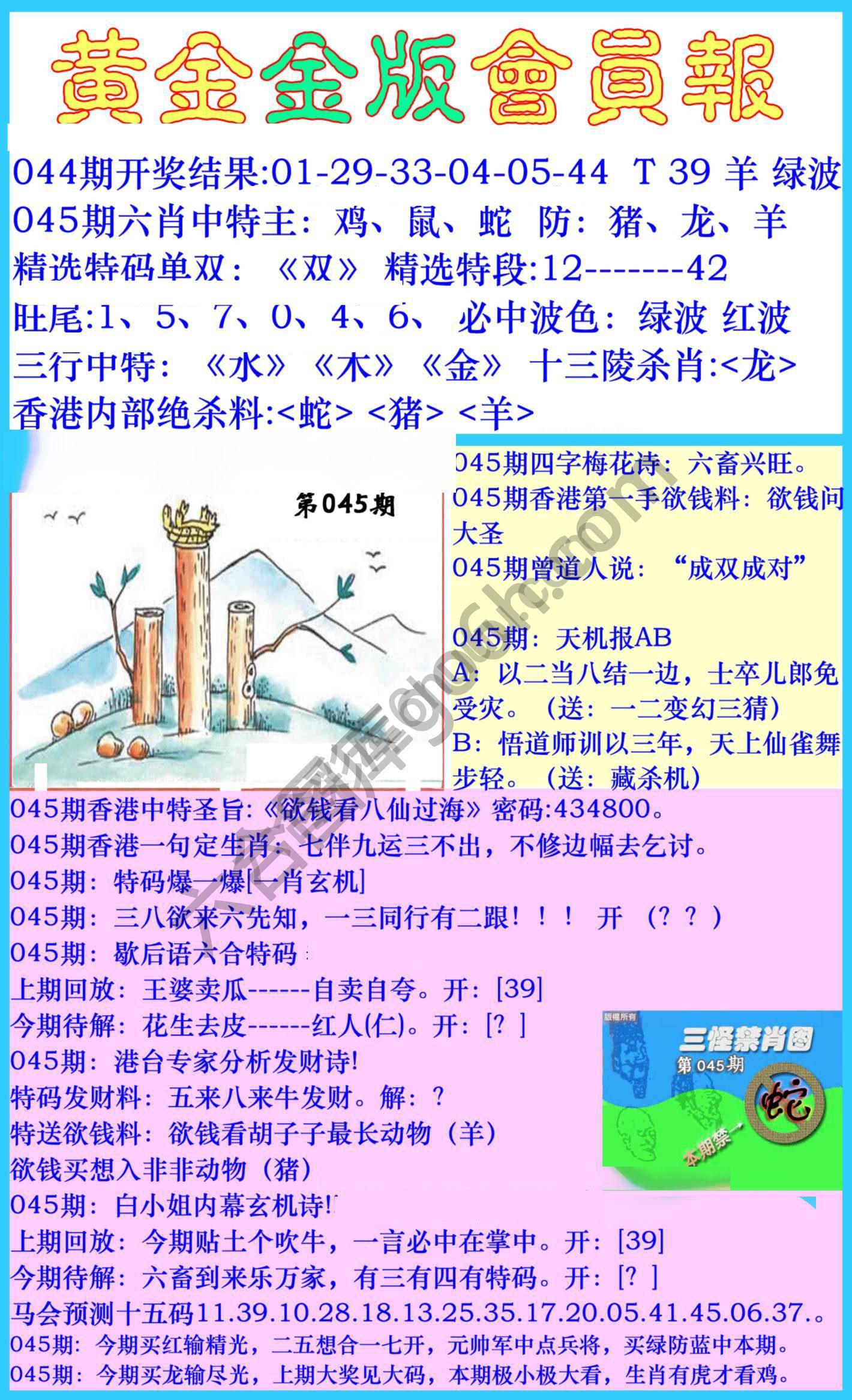 黄金金版会员报
