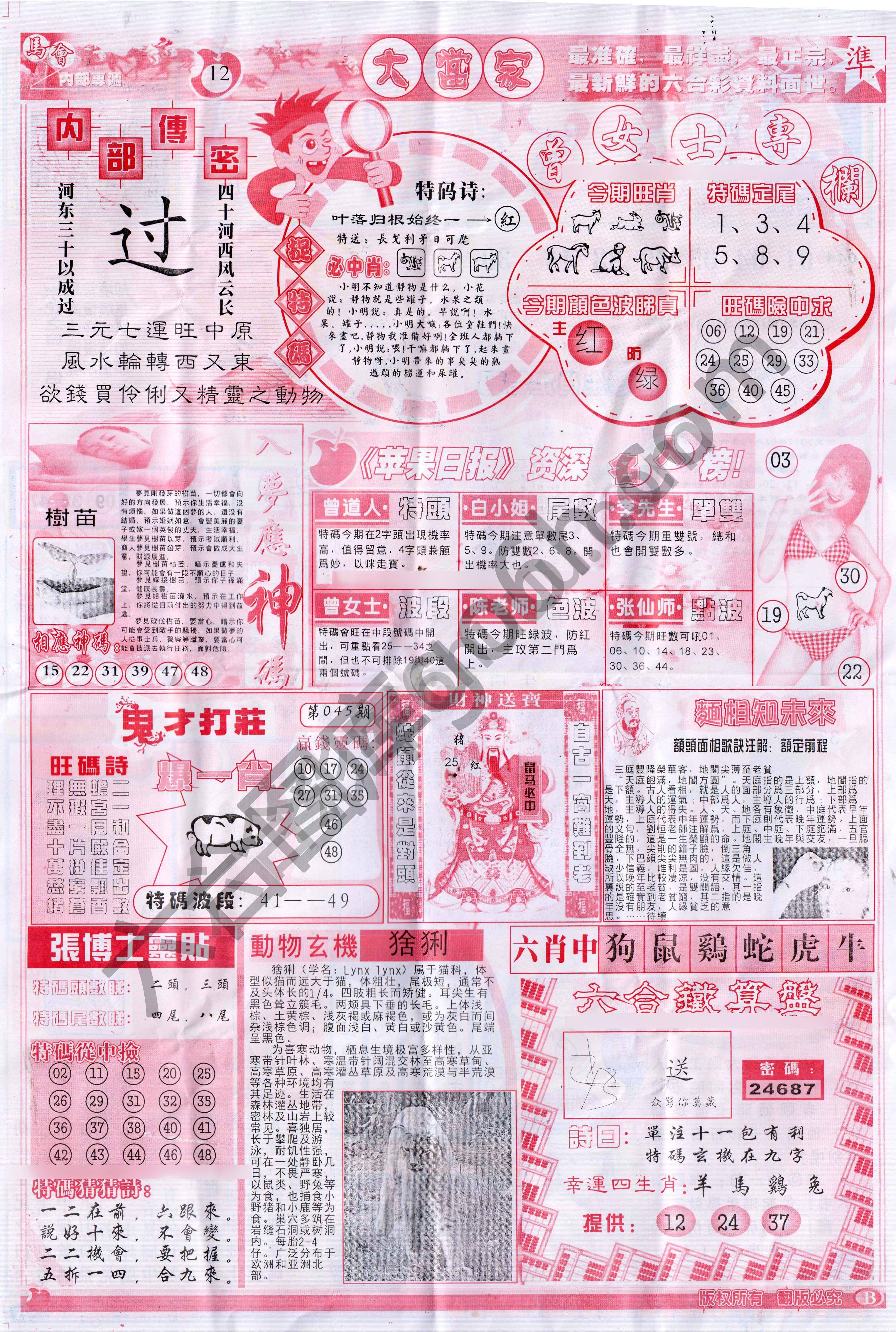 大当家
