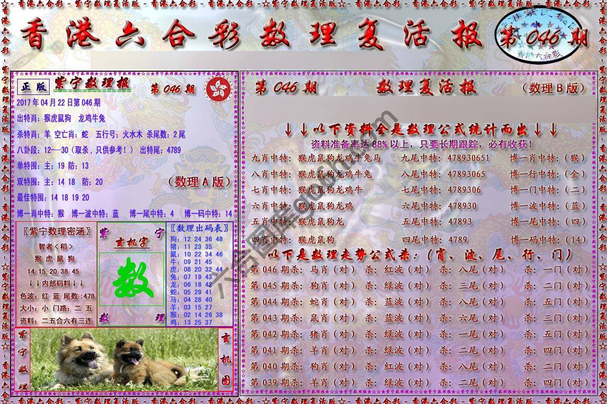 数理复活报