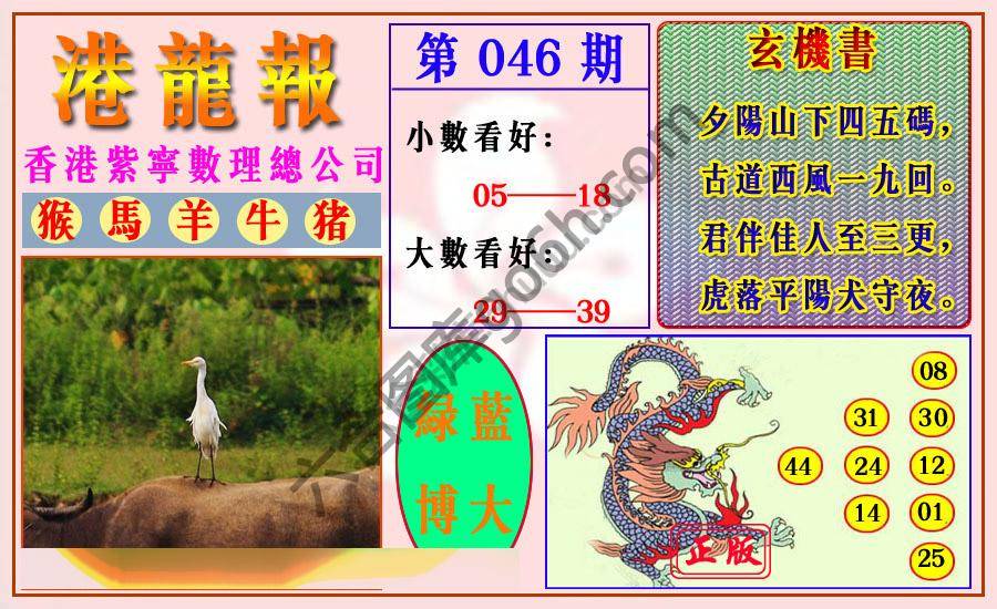 港龙报