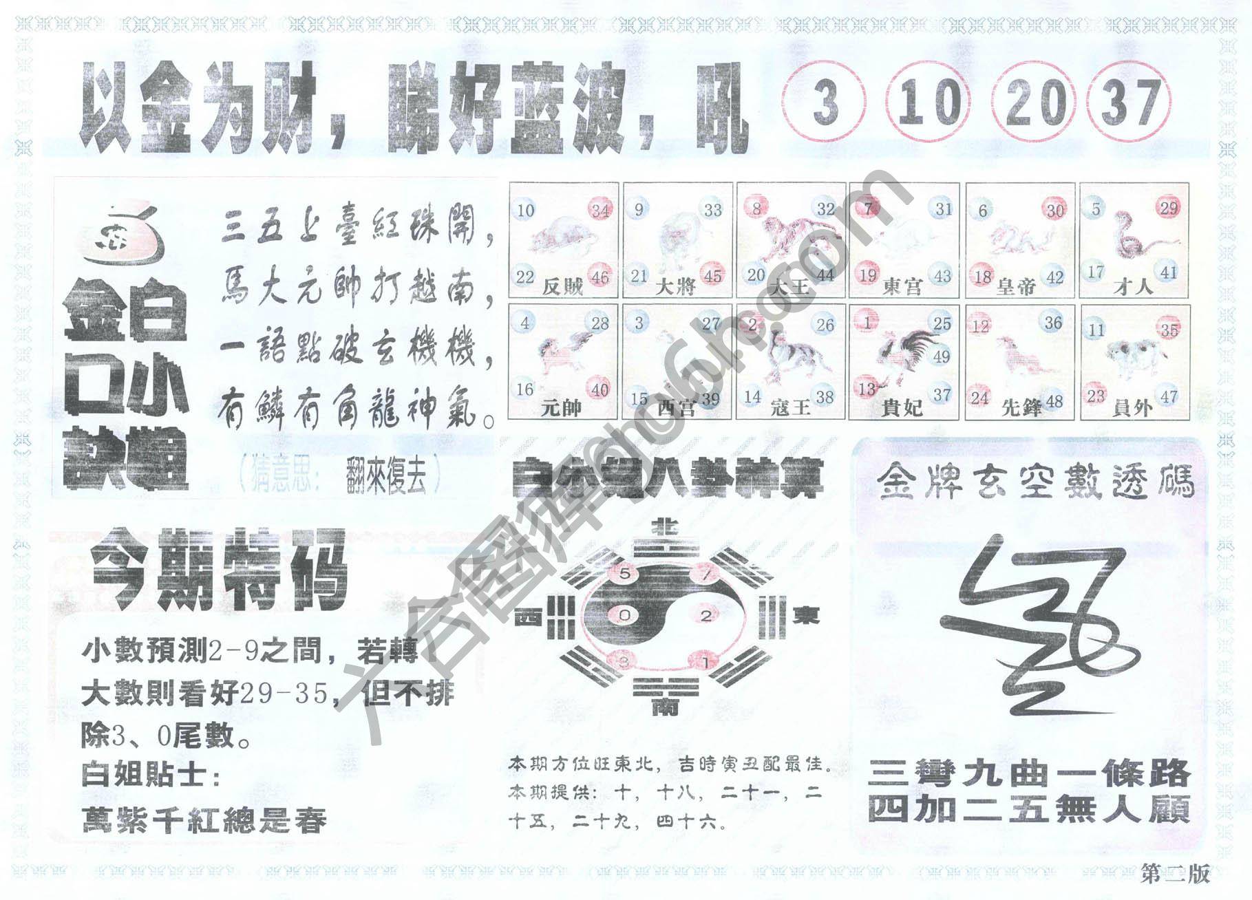 白姐内幕