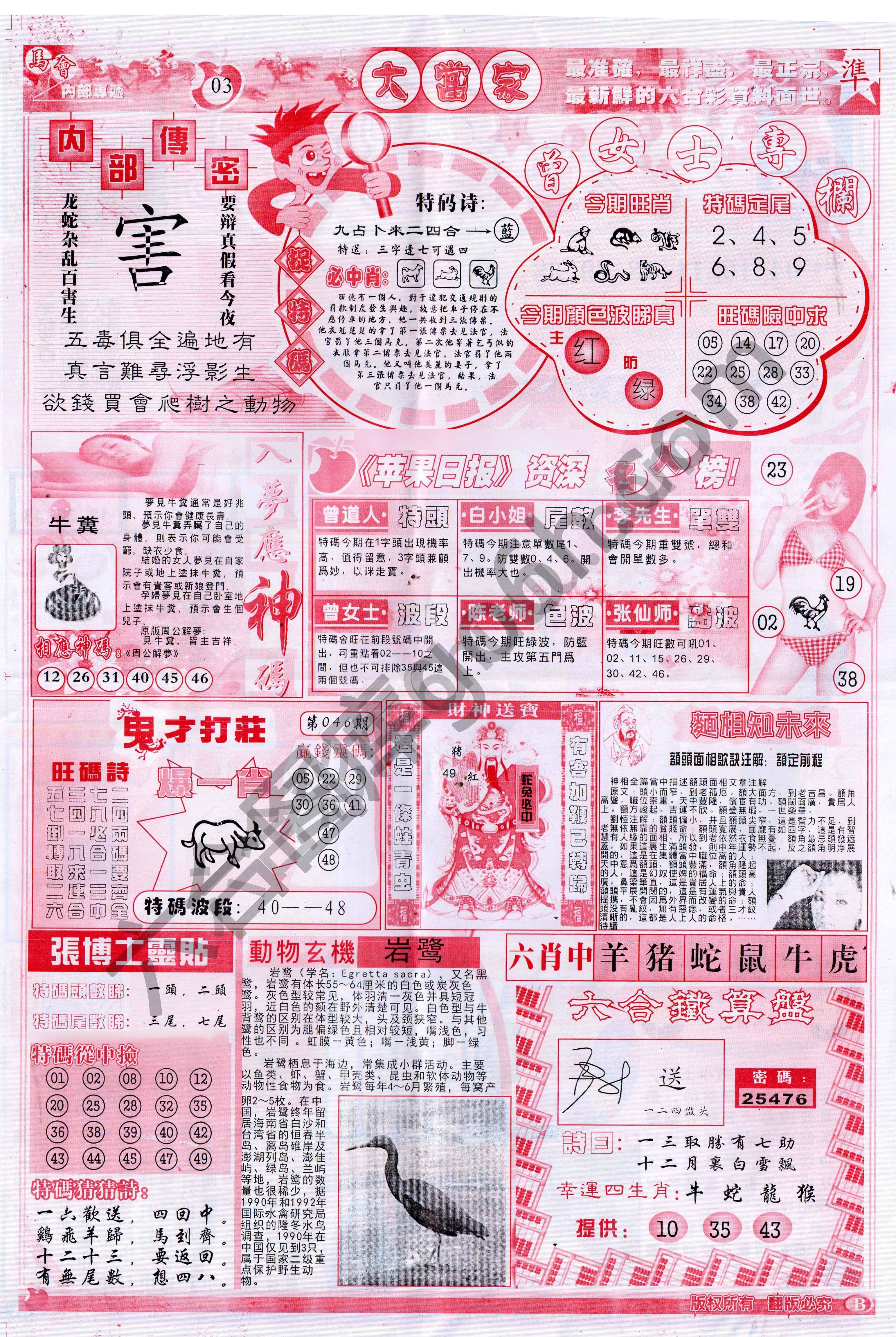 大当家