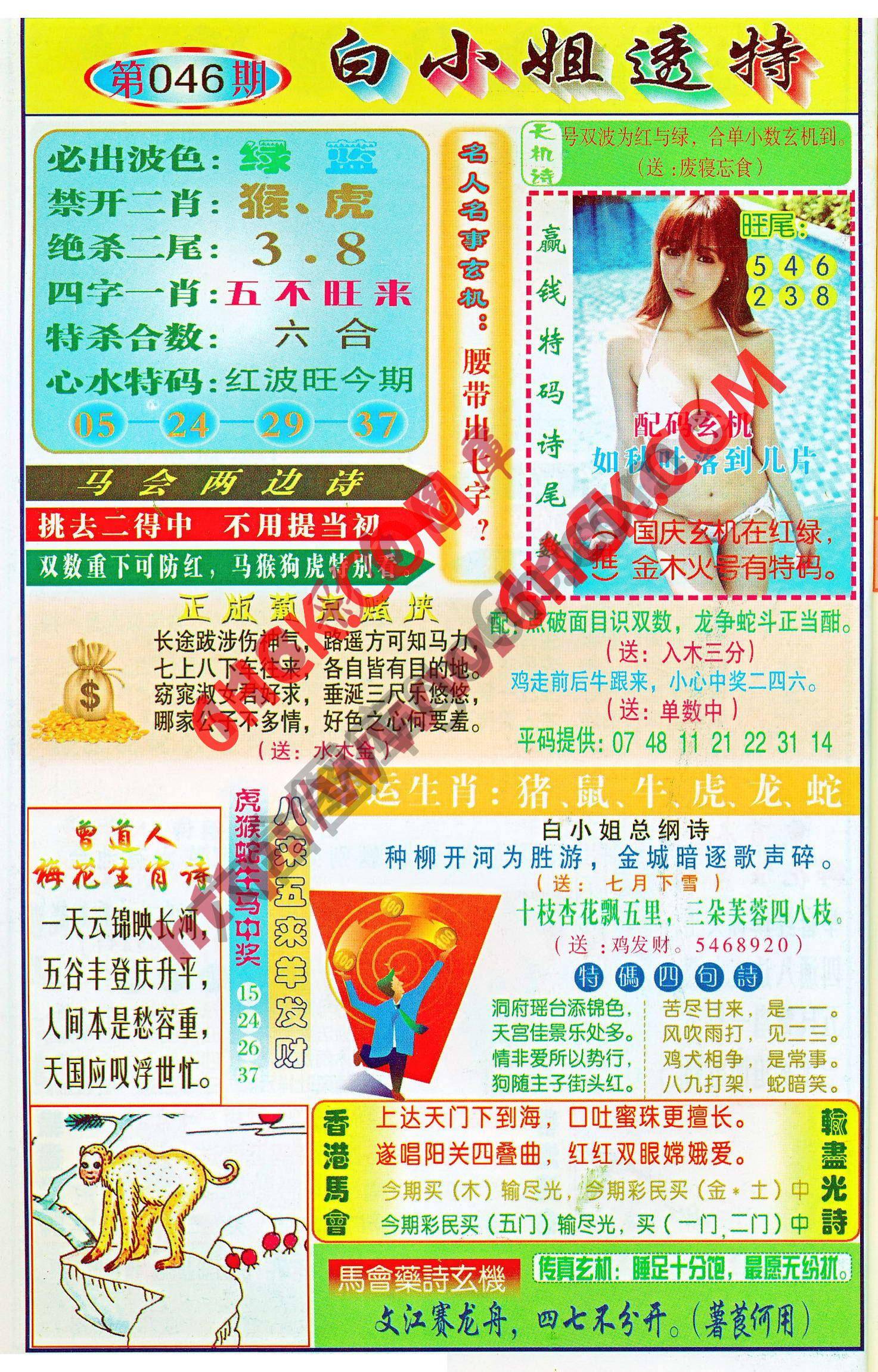 白小姐透特