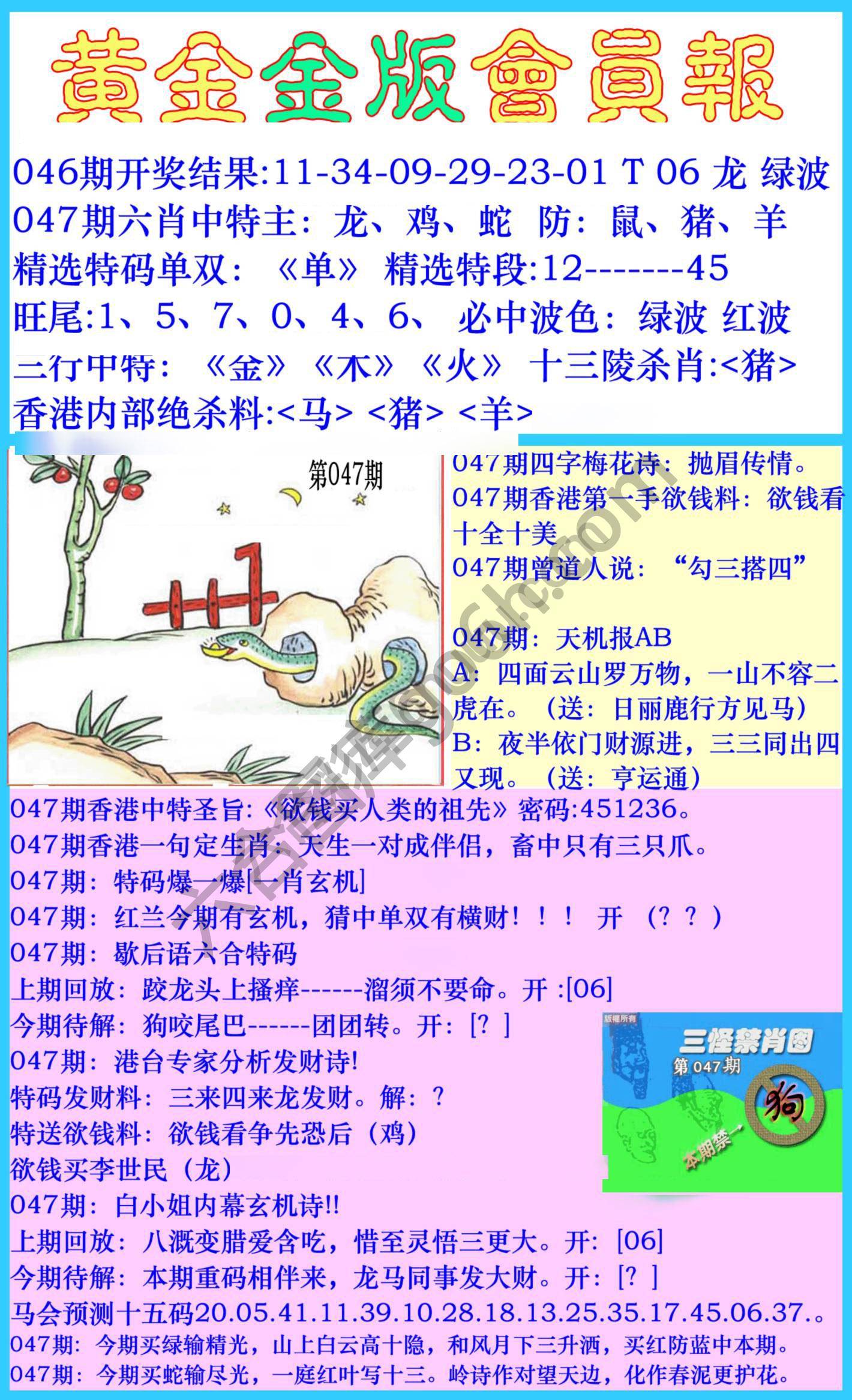 黄金金版会员报