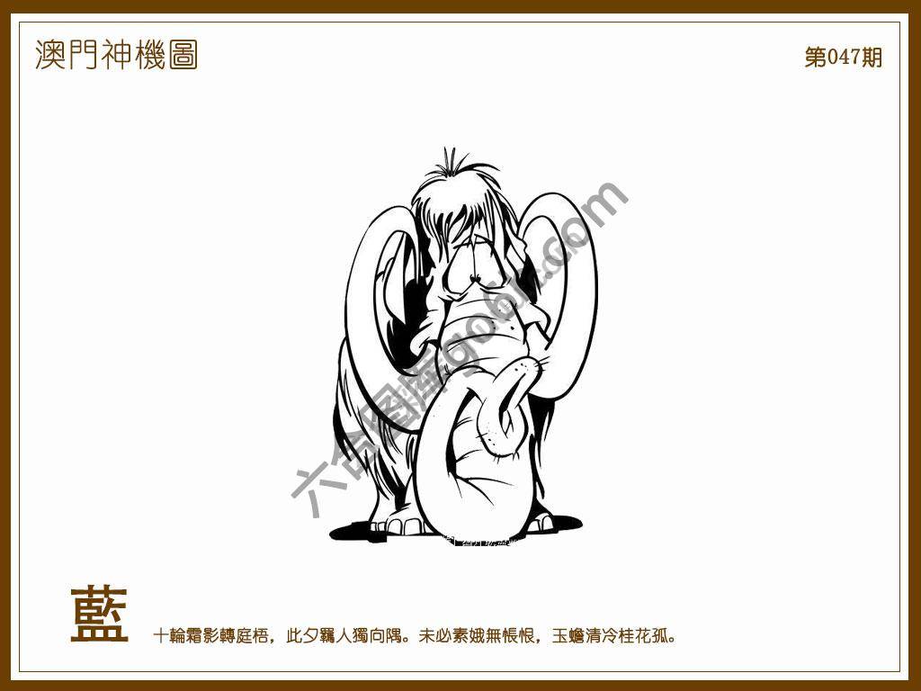 澳门神机图