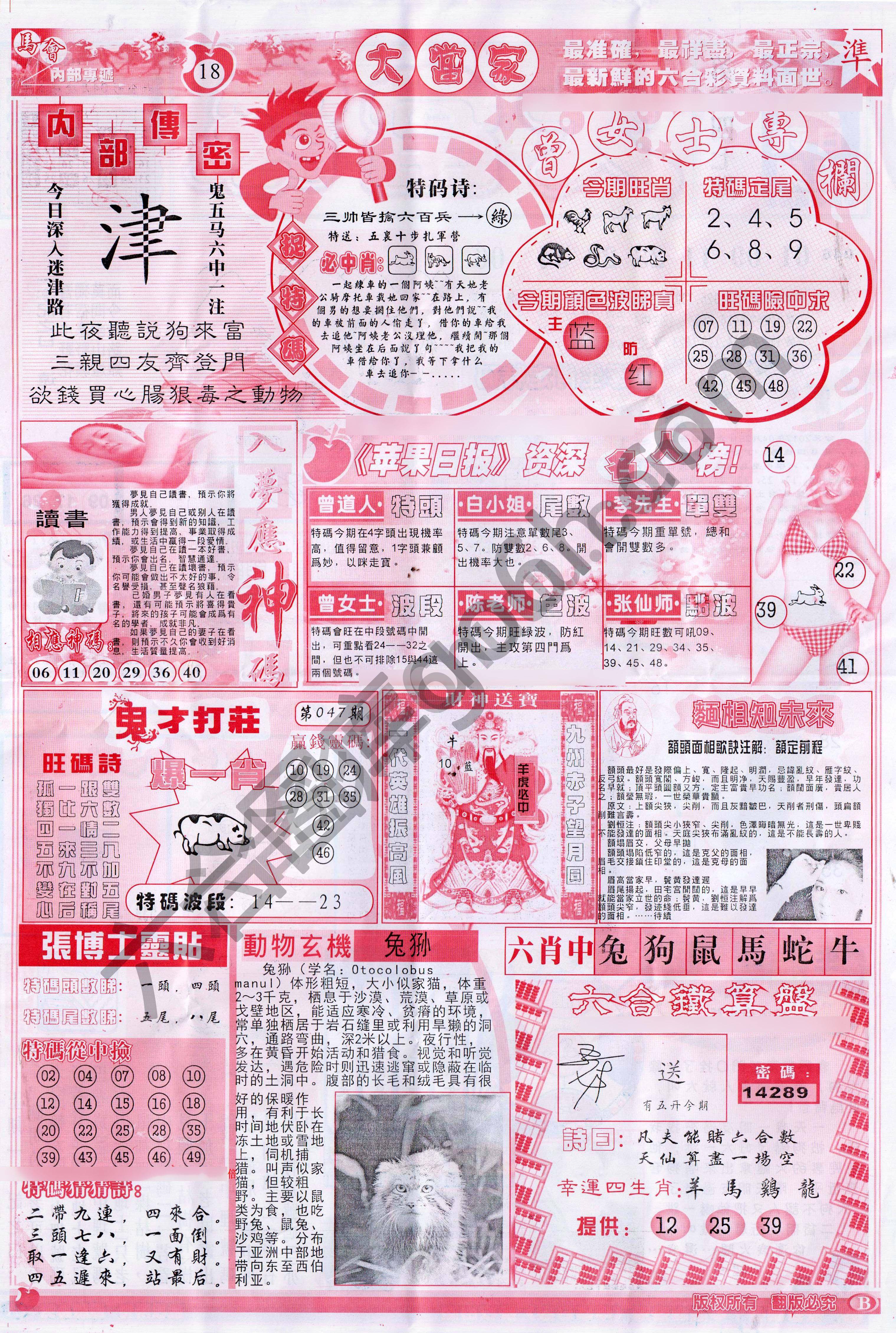 大当家